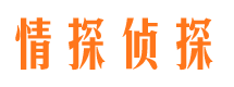 鸠江侦探社